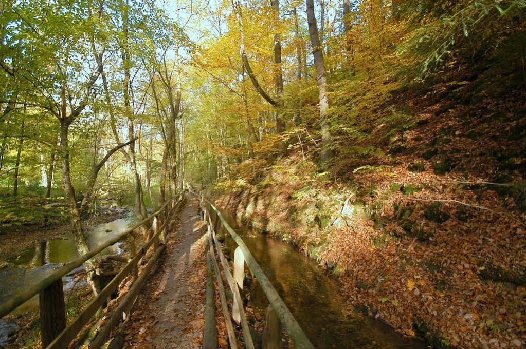 Waldhotel Im Wiesengrund Hürtgenwald Buitenkant foto